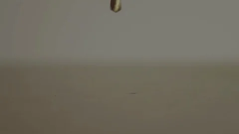 Drill drilling through wood in close up slow motion Video stock 103131384