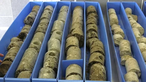 Drill hole core samples in cardboards. Granite core with quartz veins Video stock 100460735