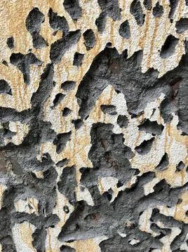Drilled textured surface Stock Photos