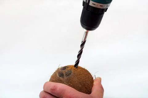Drilling into coconut Stock Photos