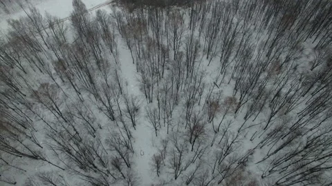 Drilling a deep well with a drilling rig oil and gas field in winter forest Stock Footage 105576972