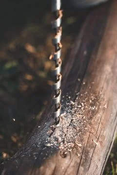 Drilling hole in timber while working in garden Stock Photos