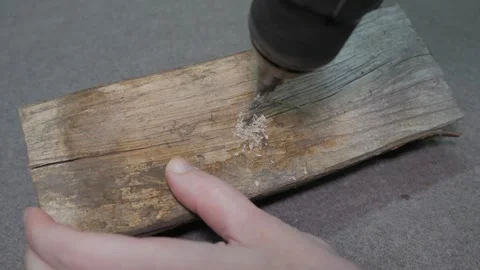 Drilling a hole in a tree and twisting a self-tapping screw Stock-Footage 243934326