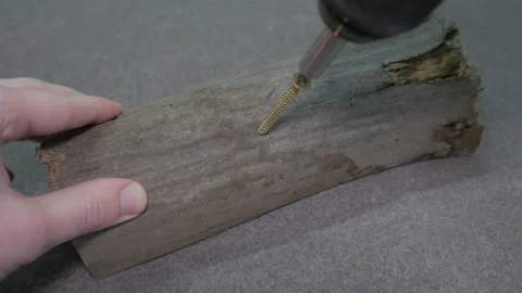 Drilling a hole in a tree and twisting a self-tapping screw Stock-Footage 243934327