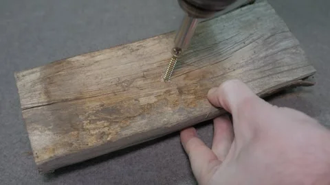 Drilling a hole in a tree and twisting a self-tapping screw Stock-Footage 243934333