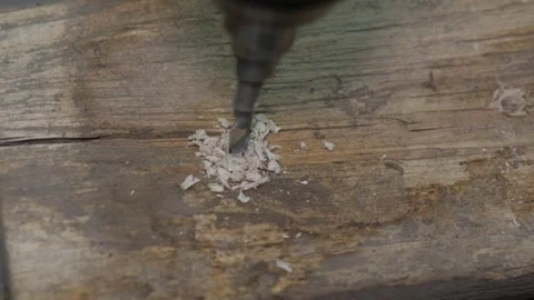 Drilling a hole in a tree and twisting a self-tapping screw Stock-Footage 243934338
