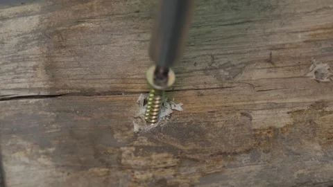 Drilling a hole in a tree and twisting a self-tapping screw Stock-Footage 243934343