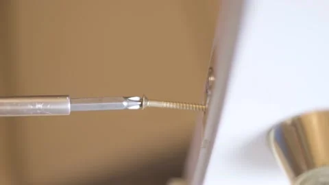 Drilling with a manual screwdriver Stock Footage 148308366