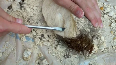 Drilling into a piece of marlstone Rock Stock Footage 276423782
