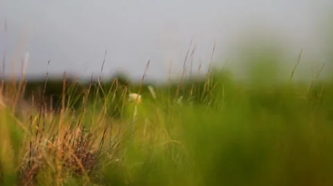 Drilling Rig Rack Focus From Grass 스톡 동영상 38606356