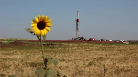 Drilling rig with wild sunflower 2 Видео 41373158