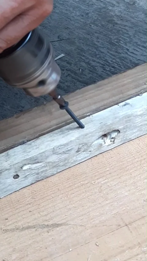 Drilling screw into wood with power tool 스톡 동영상 342616543