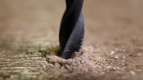 Drilling a tree with an electric drill Stock Footage 116176698