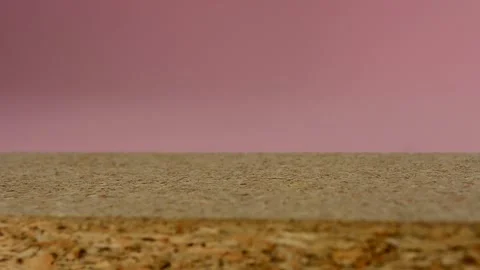 Drilling wood with a hand-held screwdriver Stock Footage 135319212
