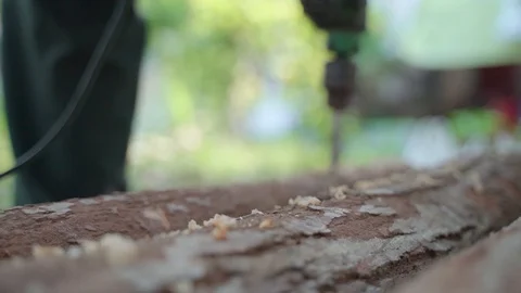 Drilling wood log Stock Footage 117323672
