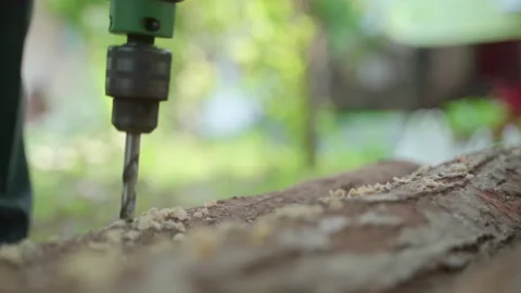 Drilling wood log Video stock 139026980