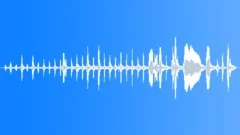 DRILL,MILITARYSound Effect
