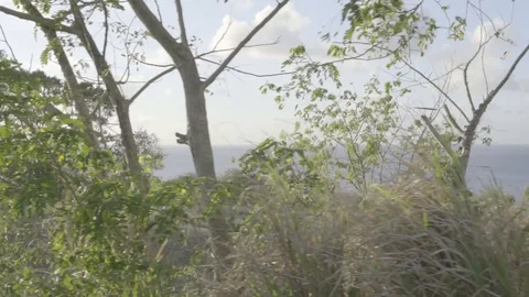 Dring through the Caribbean Stock Footage 107218871