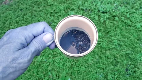 Drink in Avatar Stock Footage 246803755