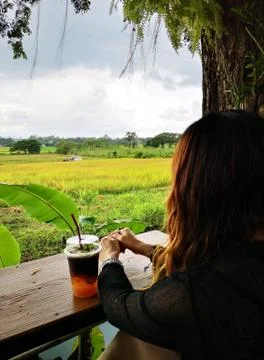 Drink coffee, see the rice fields Stock Photos