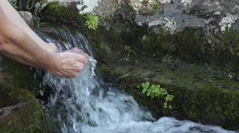 To drink from a mountain stream Stock Footage 47038314