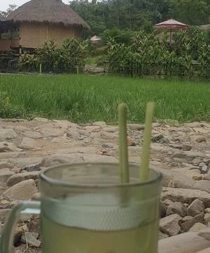 Drink in nature Foto stock