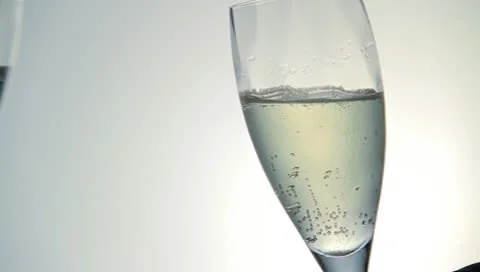 Drink a toast Stock Footage 8908543