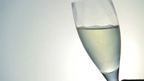 Drink a toast Stock Footage 8908546