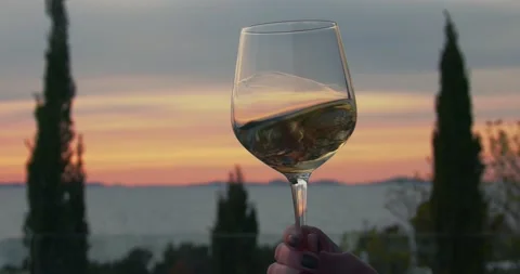 Drinking and tasting wine in sunset at sea Stock Footage 153535170