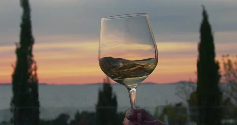 Drinking and tasting wine in sunset at sea 库存影片 153535288