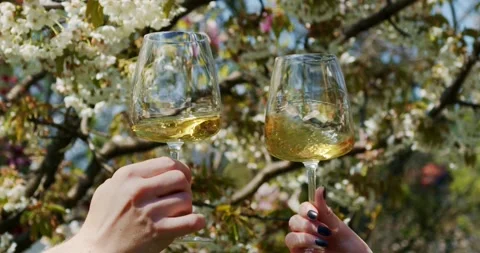 Drinking and tasting wine in wineyard at spring Video stock 153538906