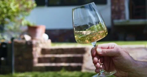 Drinking and tasting wine in wineyard 스톡 동영상 153539010