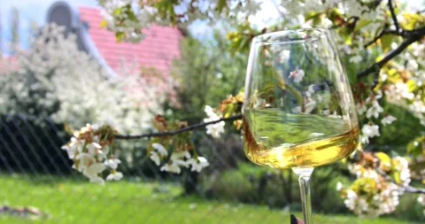 Drinking and tasting wine in wineyard at spring 库存影片 153539215