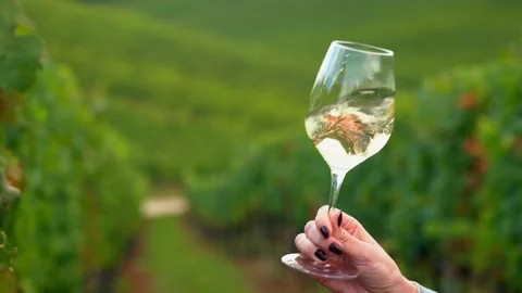 Drinking and tasting wine in wineyard Video stock 162682829