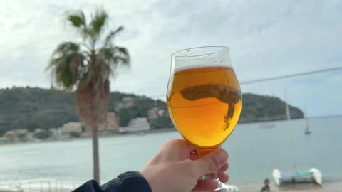 Drinking beer looking at the beach Stock-Footage 248301911