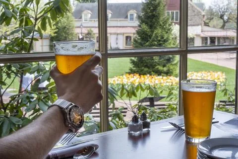 Drinking Beer by a Window Overlooking a Spring Flower Garden Stock Photos
