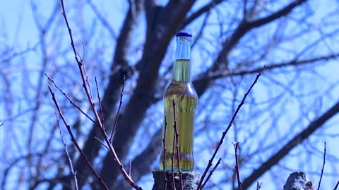 Drinking Bottle outdoor Stock Footage 147501213
