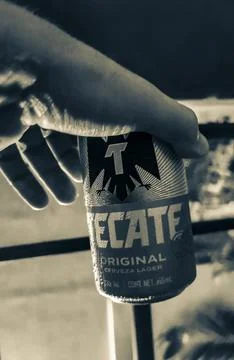Drinking can of cold beer on beach in paradise Mexico. Stock-Fotos