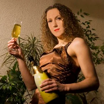 Drinking champagne Stock Photos