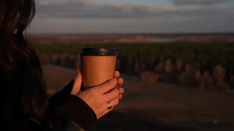 Drinking coffee while traveling Stock Footage 178371383