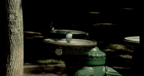 Drinking Fountain 2 Stock Footage 292835433