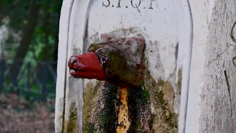 Drinking fountain in the shape of a wolf in Rome, Italy Vídeos de archivo 314502350