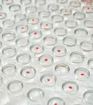 Drinking glass pattern Foto stock