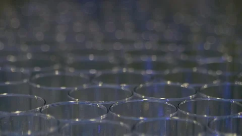 Drinking glasses top of rims rack focus close up 스톡 동영상 91107239
