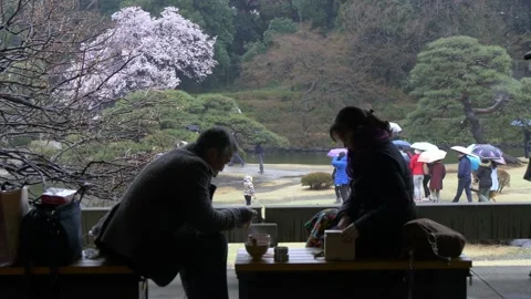 Drinking Hot Tea Inside Shinjuku Gyoen National Garden In Tokyo, Japan Stock Footage 159060415