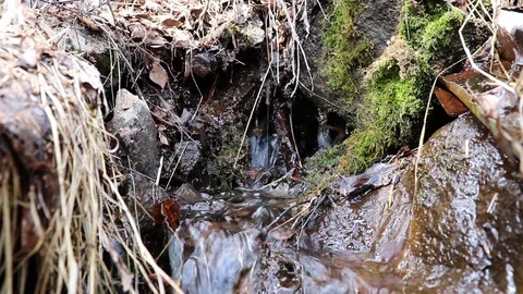 The drinking rill is crystal clear Stock Footage 127648122
