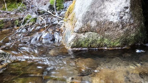 The drinking rill is crystal clear Stock Footage 127648327