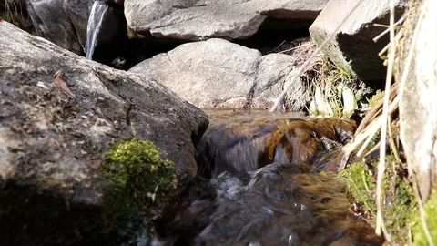 The drinking rill is crystal clear Stock Footage 127648576