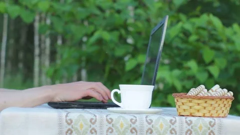 Drinking Tea and Working on Laptop Computer Outdoors Stock Footage 91270577