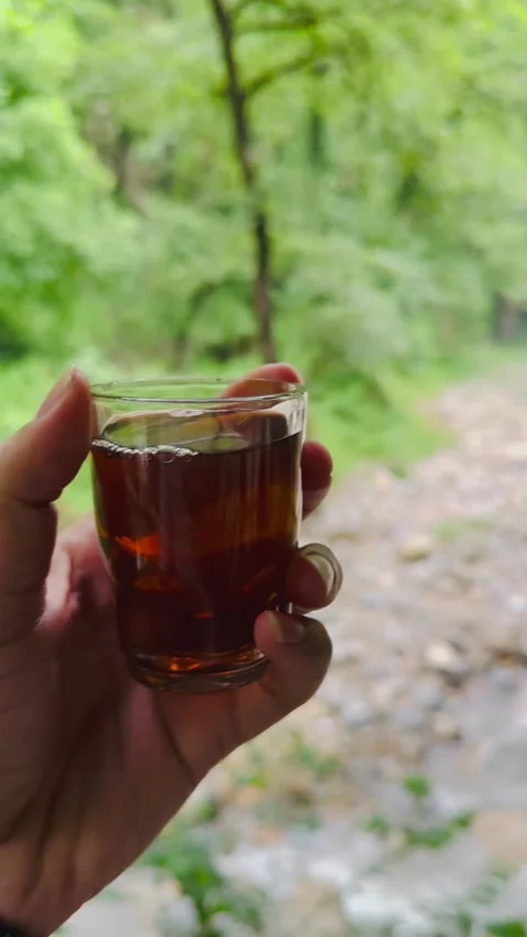 Drinking tea in nature, POV shot, 9:16 vertical video Vídeos de archivo 336848987